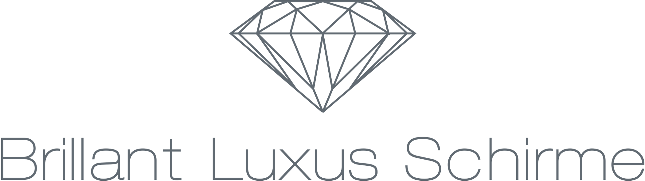 DM21 parapluie canne